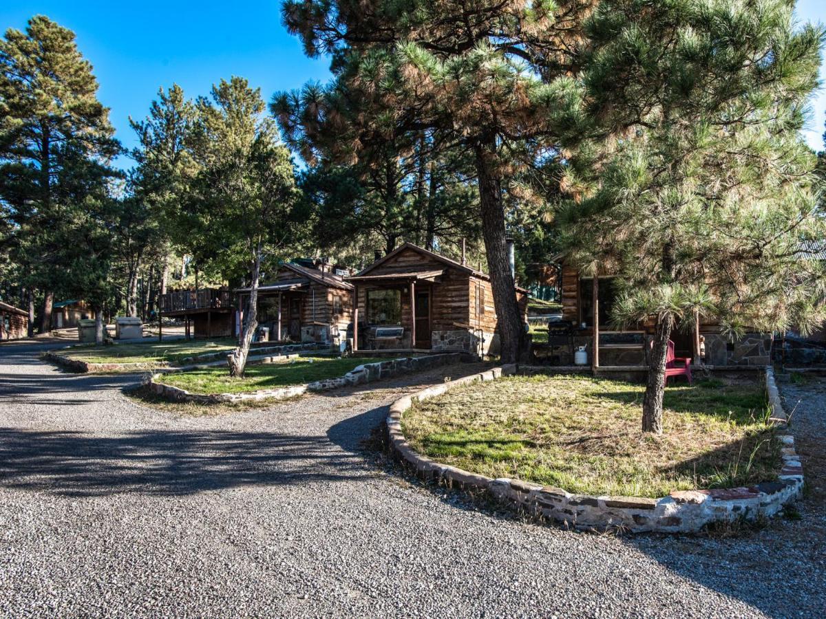 Destiny Cabin, 2 Bedrooms, Fireplace, Midtown, Sleeps 7 Ruidoso Zewnętrze zdjęcie